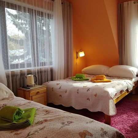 Apartamenty nad Młynówką Chocholow Bagian luar foto