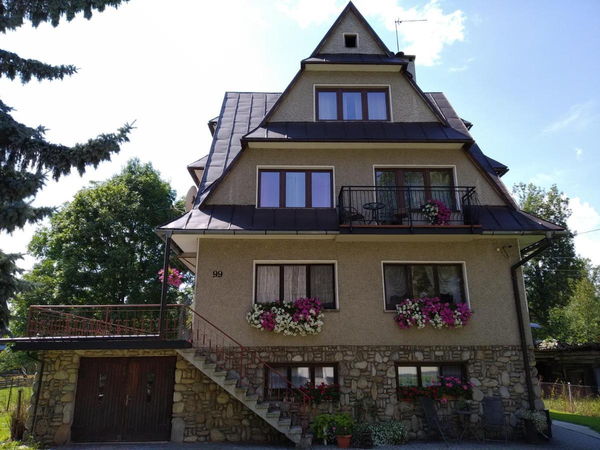 Apartamenty nad Młynówką Chocholow Bagian luar foto