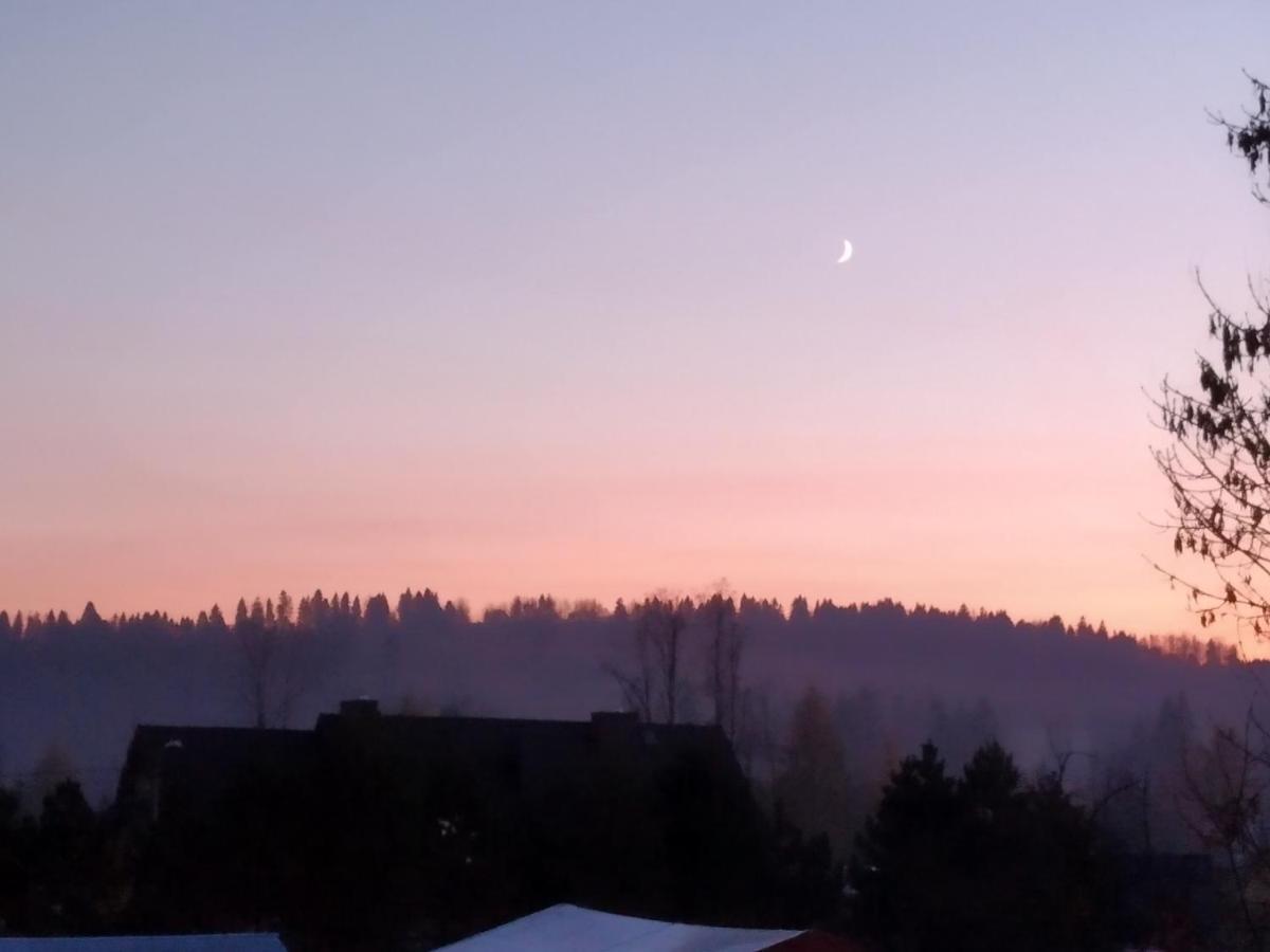 Apartamenty nad Młynówką Chocholow Bagian luar foto